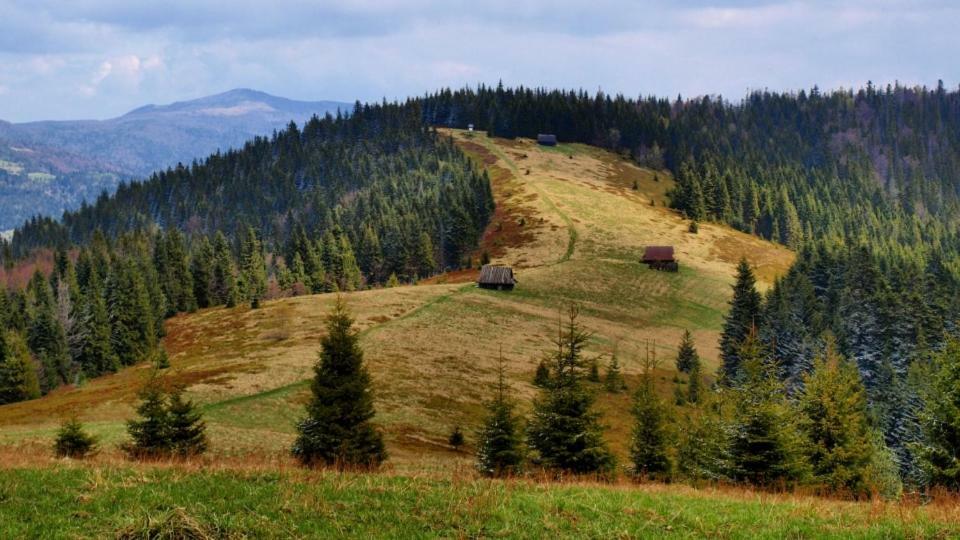 Wasielowka Poręba Wielka Extérieur photo