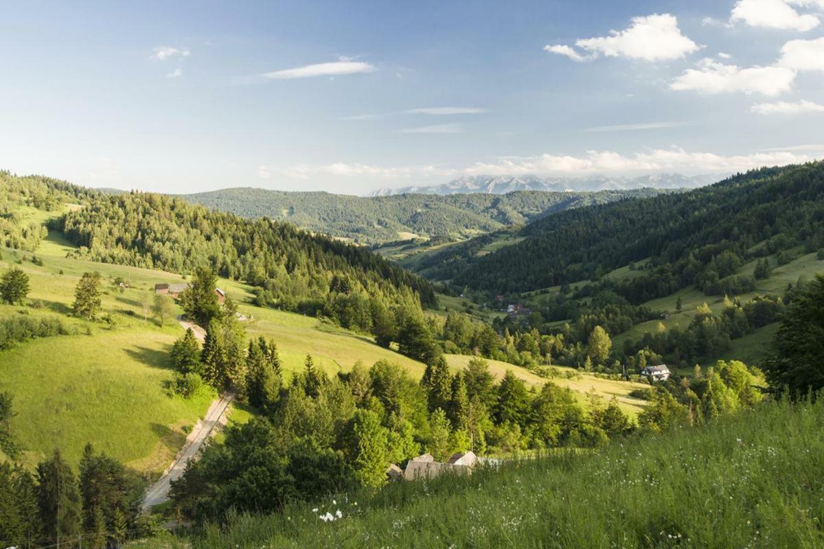 Wasielowka Poręba Wielka Extérieur photo